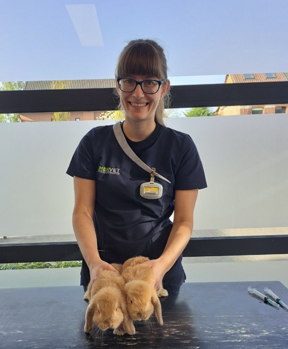 Dierenarts Gitte Geerts