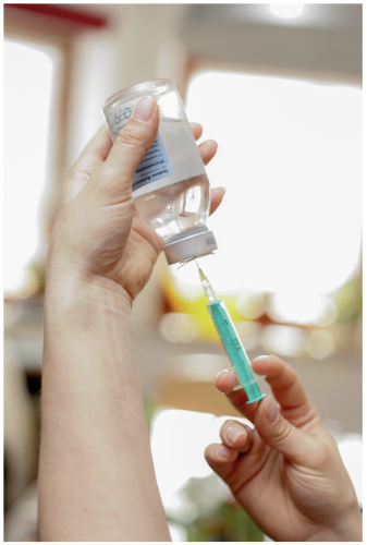 Vaccineren van je paard